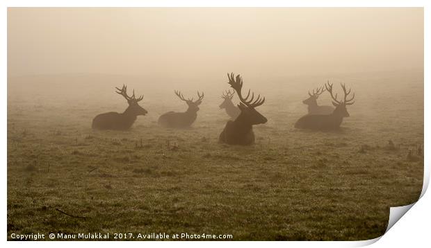 Deers on a foggy morning Print by Manu Mulakkal