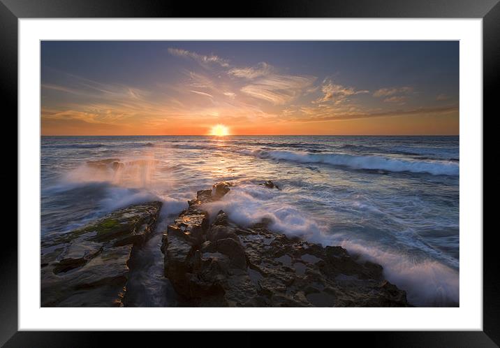 Reaching for the Sun Framed Mounted Print by Mike Dawson