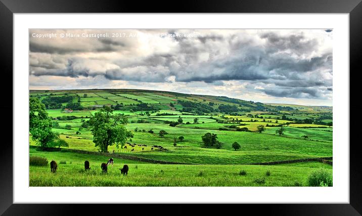 Yorkshires Grazing land  Framed Mounted Print by Marie Castagnoli