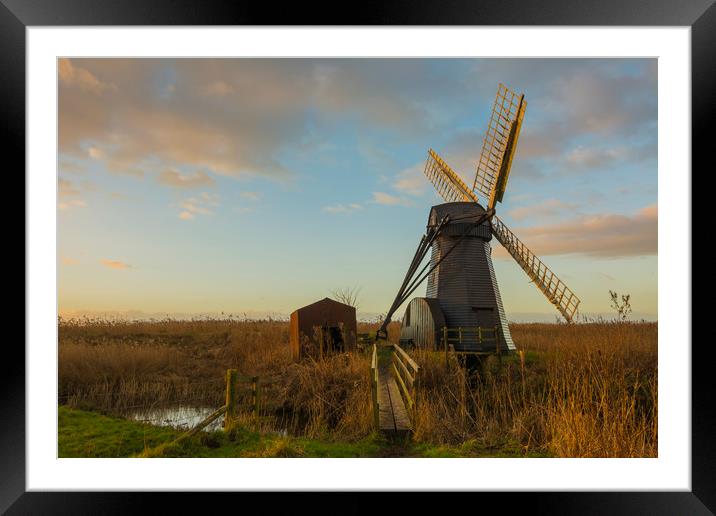 Herringfleet  Windmill & Out House Framed Mounted Print by Mark Hawkes