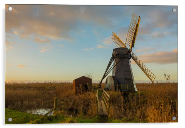Herringfleet  Windmill & Out House Acrylic by Mark Hawkes