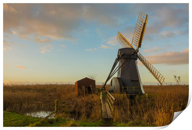 Herringfleet  Windmill & Out House Print by Mark Hawkes