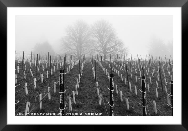 Young Vines BW Framed Mounted Print by jonathan nguyen