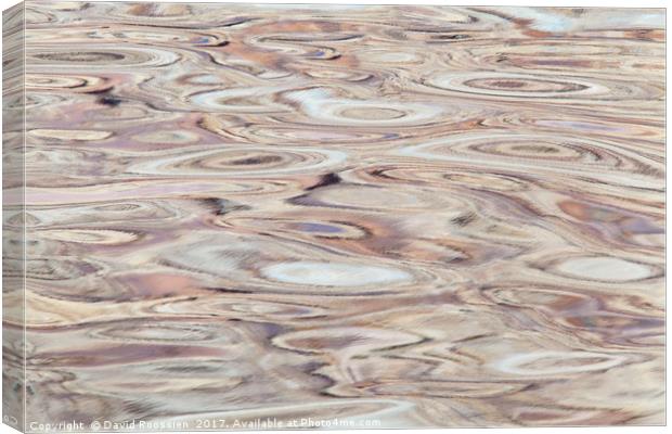 Spinning Reflections #1, Green River, Utah, USA Canvas Print by David Roossien