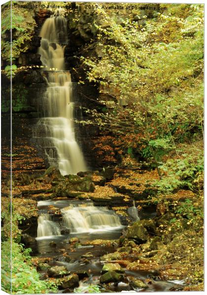 LEAFY WATERFALL Canvas Print by andrew saxton