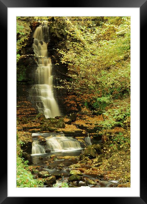 LEAFY WATERFALL Framed Mounted Print by andrew saxton