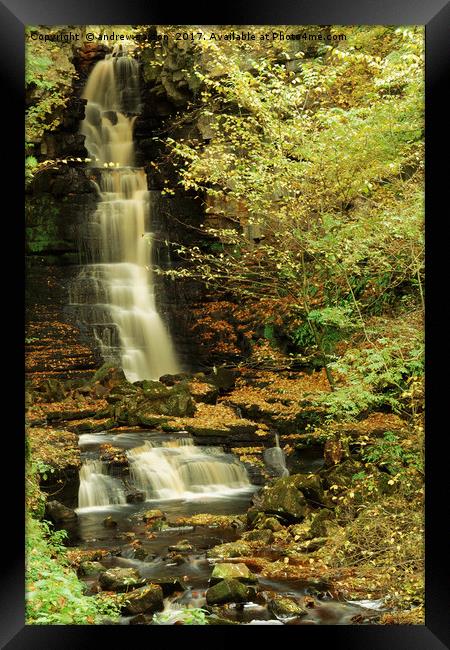 LEAFY WATERFALL Framed Print by andrew saxton