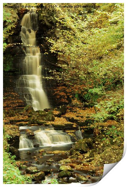 LEAFY WATERFALL Print by andrew saxton