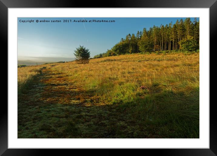 TAKING THE HIGH ROAD Framed Mounted Print by andrew saxton