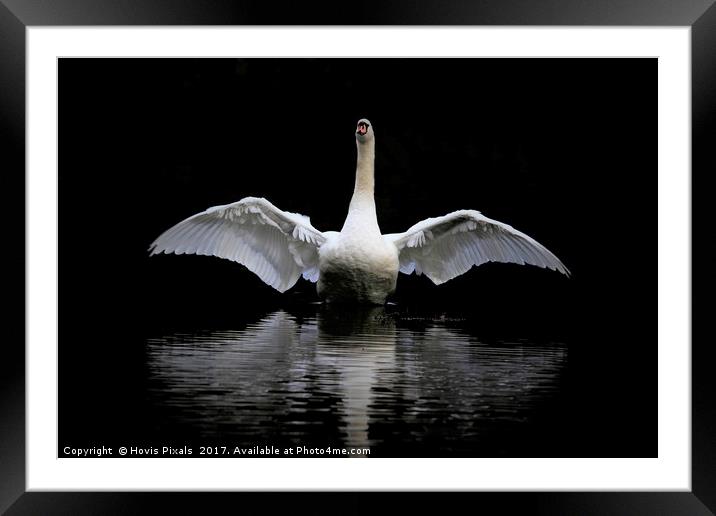 Angel Wings Framed Mounted Print by Dave Burden