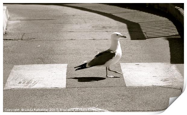 Seagull Crossing Print by Linda Rampling