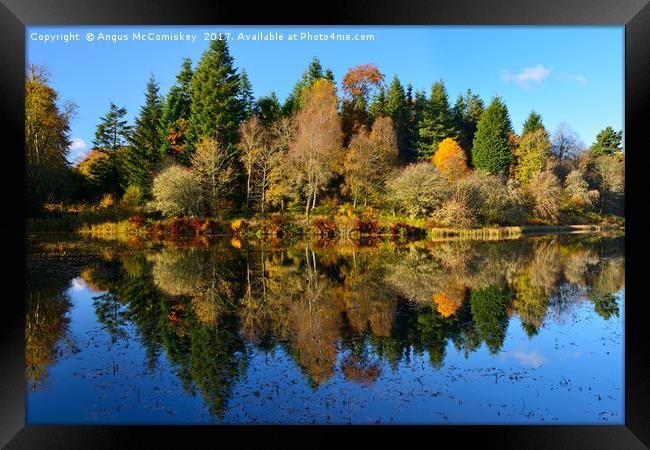 Autumn reflections Penicuik Pond Framed Print by Angus McComiskey