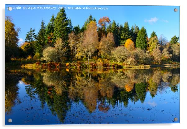 Autumn reflections Penicuik Pond Acrylic by Angus McComiskey