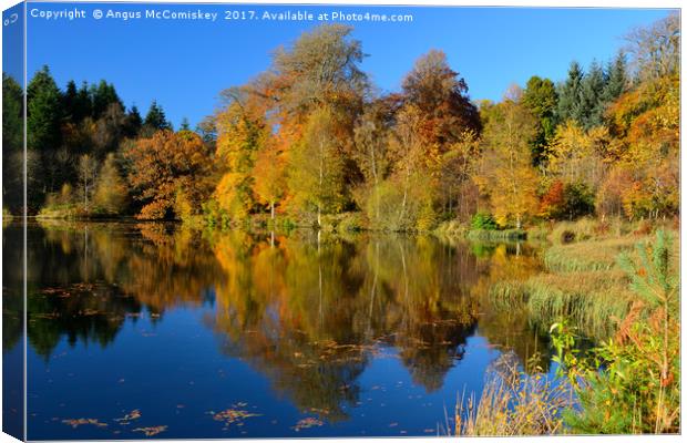 Penicuik Pond autumn reflections Canvas Print by Angus McComiskey