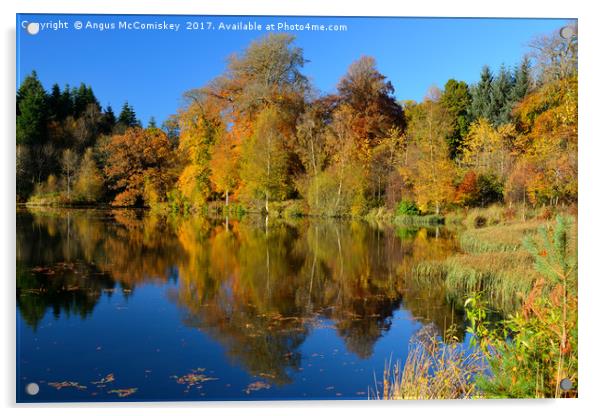 Penicuik Pond autumn reflections Acrylic by Angus McComiskey