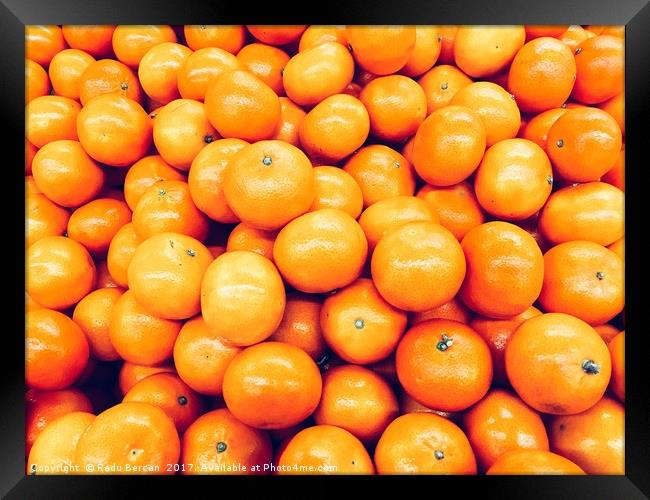 Orange Tangerines In Fruit Market Framed Print by Radu Bercan