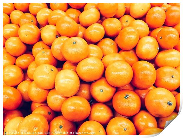 Orange Tangerines In Fruit Market Print by Radu Bercan