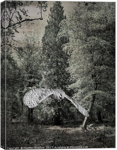 Shadow Glade Owl. Canvas Print by Heather Goodwin