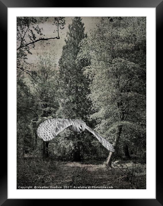 Shadow Glade Owl. Framed Mounted Print by Heather Goodwin