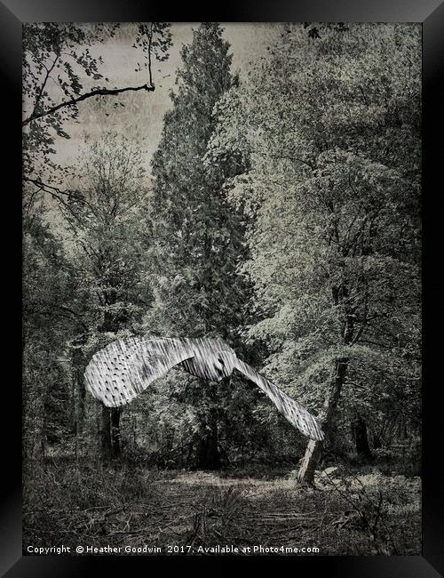 Shadow Glade Owl. Framed Print by Heather Goodwin
