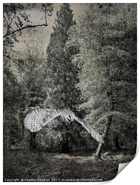 Shadow Glade Owl. Print by Heather Goodwin