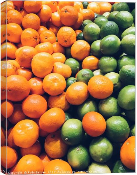 Lime And Tangerines Citrus Fruits In Fruit Market Canvas Print by Radu Bercan