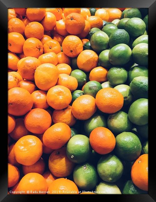 Lime And Tangerines Citrus Fruits In Fruit Market Framed Print by Radu Bercan