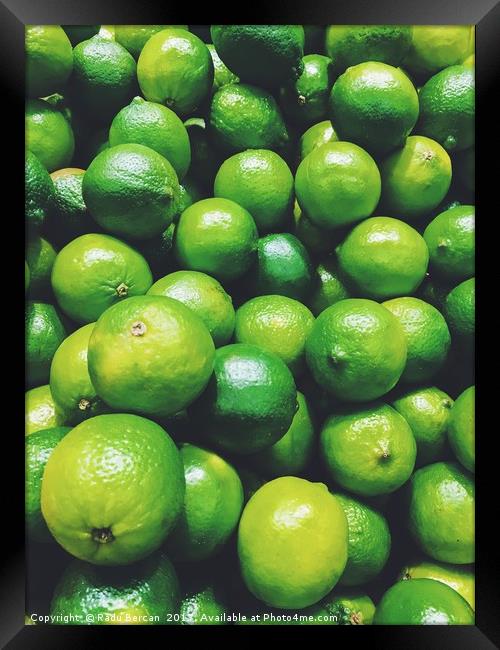 Lime Citrus Fruits In Fruit Market Framed Print by Radu Bercan