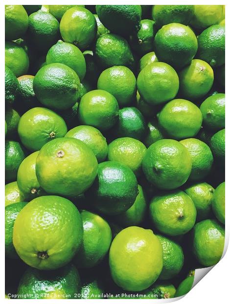 Lime Citrus Fruits In Fruit Market Print by Radu Bercan
