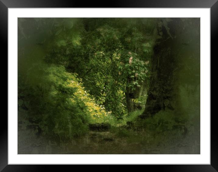 English Woodland Framed Mounted Print by Victor Burnside