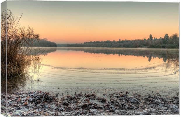 A Frosty Dawn at Virginia Water Lake Canvas Print by Bob Barnes