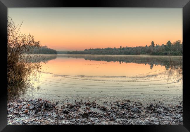A Frosty Dawn at Virginia Water Lake Framed Print by Bob Barnes
