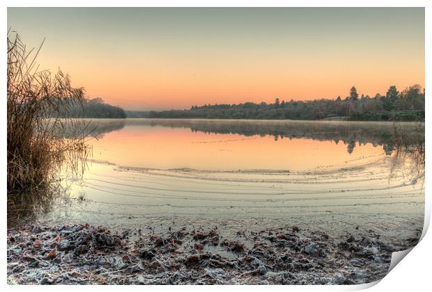 A Frosty Dawn at Virginia Water Lake Print by Bob Barnes