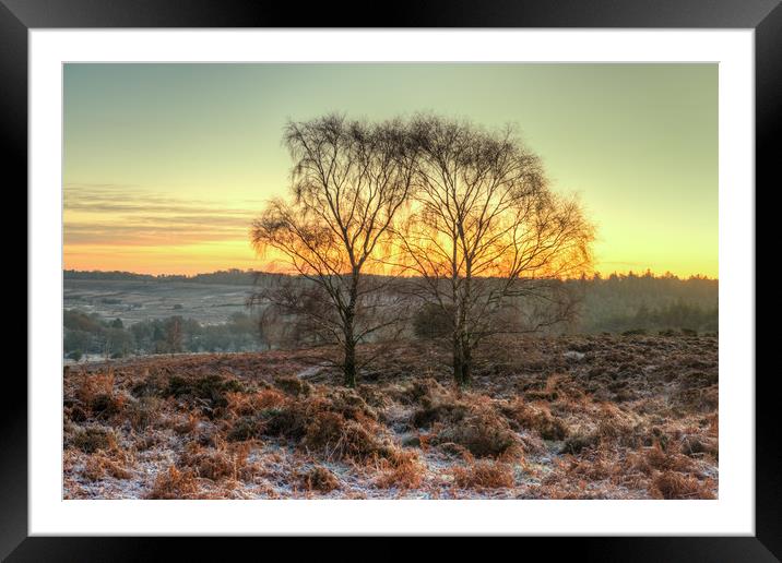 Mogshade Hill in Winter The New Forest Hampshire Framed Mounted Print by Bob Barnes