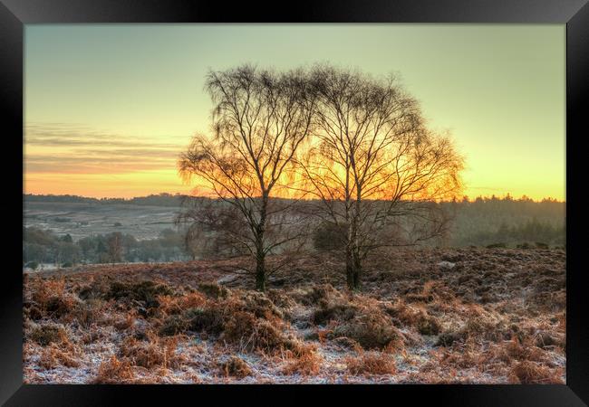 Mogshade Hill in Winter The New Forest Hampshire Framed Print by Bob Barnes