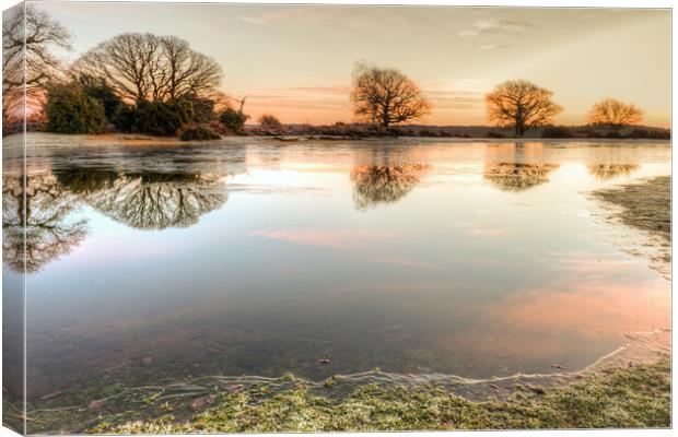 Mogshade Pond with Ice  Canvas Print by Bob Barnes