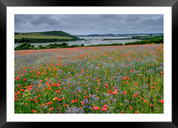 A meadow of wildflowers  Framed Mounted Print by Lindsay Philp