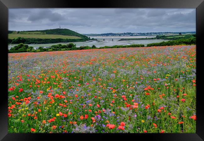 A meadow of wildflowers  Framed Print by Lindsay Philp