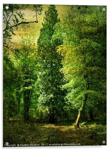 Tall Trees. Acrylic by Heather Goodwin