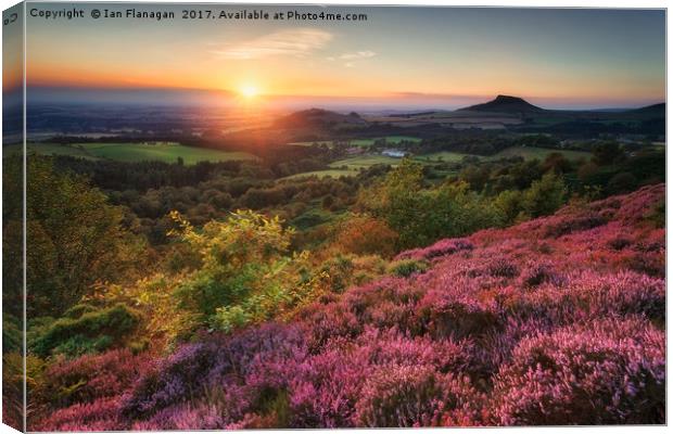 Roseberry Topping Canvas Print by Ian Flanagan