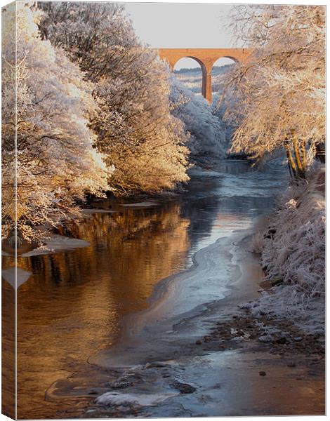 Snow and Ice on the River Nairn, Scotland Canvas Print by Jacqi Elmslie