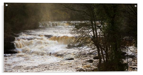 Aysgarth Upper Falls Acrylic by Julian Mitchell