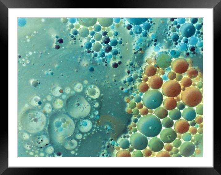 bubbles in aqua and amber Framed Mounted Print by Heather Newton