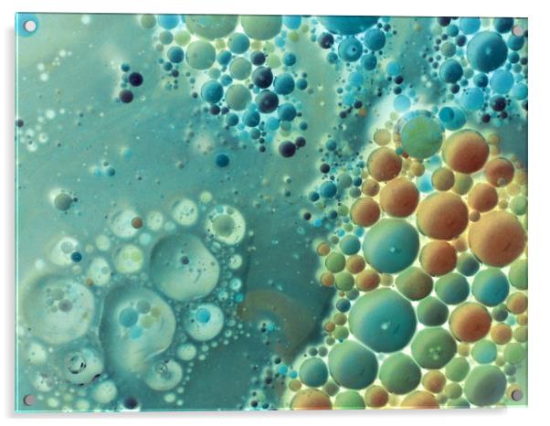 bubbles in aqua and amber Acrylic by Heather Newton