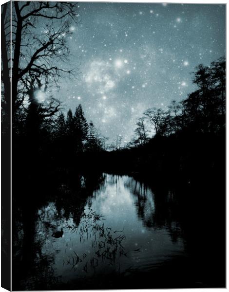lake in the starlight Canvas Print by Heather Newton