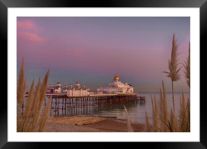 Eastbourne Pier at Sunset Framed Mounted Print by Phil Clements