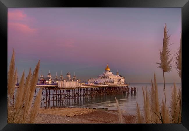 Eastbourne Pier at Sunset Framed Print by Phil Clements