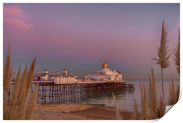 Eastbourne Pier at Sunset Print by Phil Clements