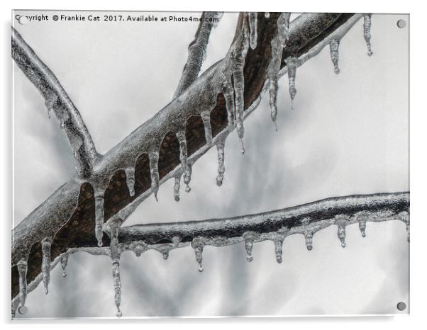 Icy Branch Acrylic by Frankie Cat