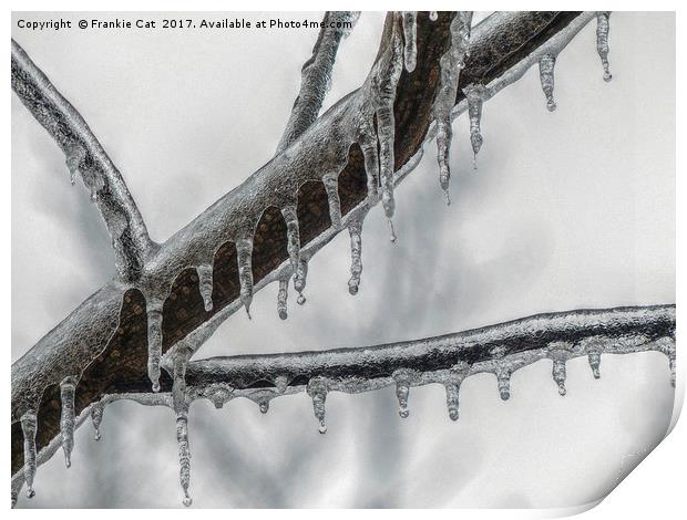 Icy Branch Print by Frankie Cat